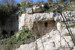 Templi Ferali